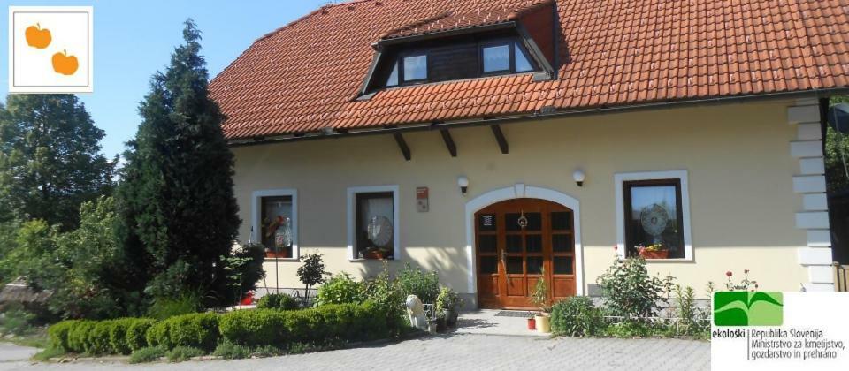 Country House Slemensek Vojnik Kültér fotó